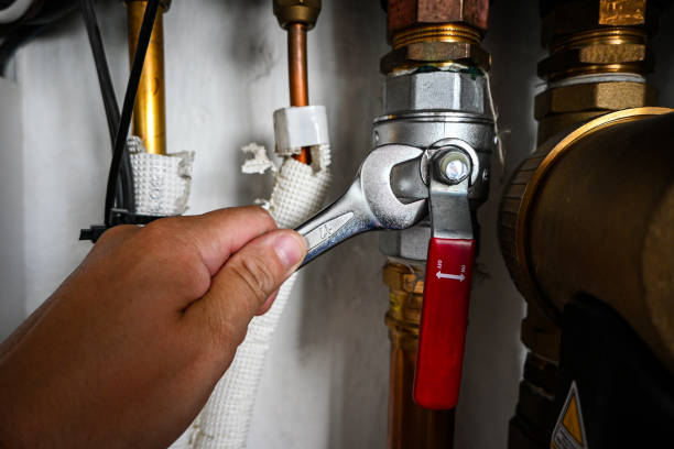 Best Clogged Drain Plumber  in Bartlett, IL
